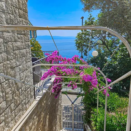 Wanda - 메드베야