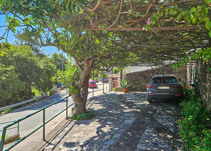 Wanda - Daire Medveja